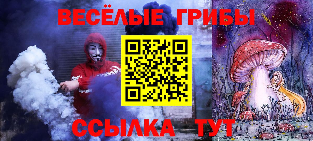 сколько стоит  Вход с VPN  Дербент  Псилоцибиновые грибы прущие грибы 