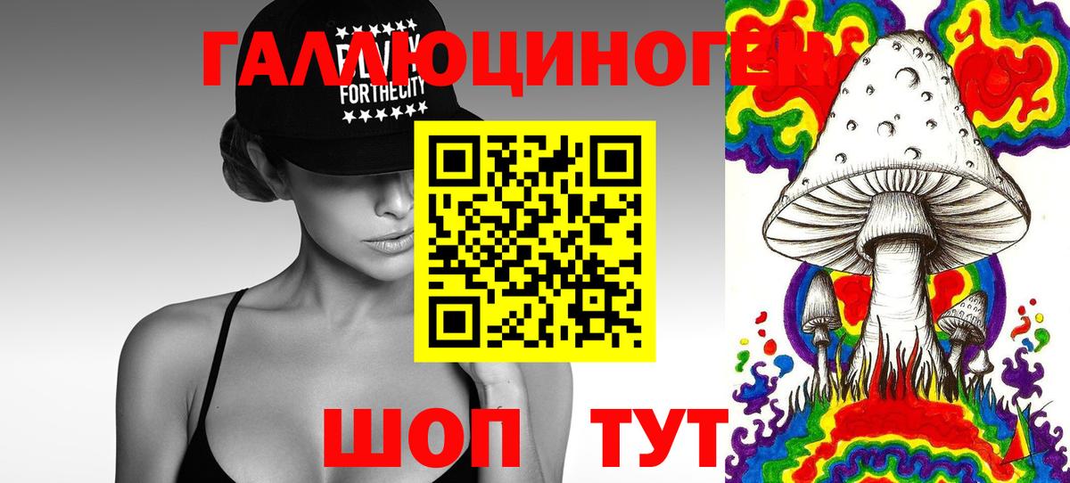 Галлюциногенные грибы Magic Shrooms Дербент